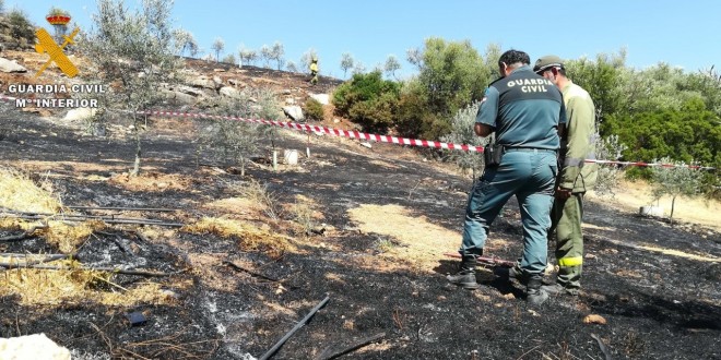 Un agente del SEPRONA  en la inspección de un incendio forestal.
