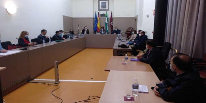 Imagen general del Pleno Extraordinario del Ayuntamiento de Baena celebrado esta mañana. Foto: TV Baena.