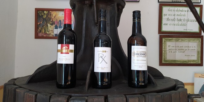 Los tres vinos de Bodegas Jesús Nazareno galardonados en los Premios Mezquita 2021. Foto: TV Baena.