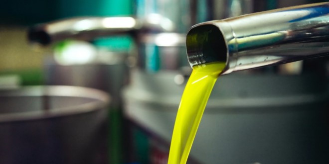 El aceite de oliva sigue siendo el producto cordobés más exportado. Foto: Junta de Andalucía